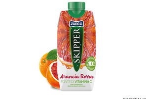 Succo frutta 330 ml conf. 18 pz